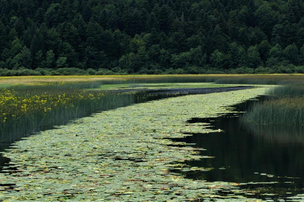 Jezerka Cerknica