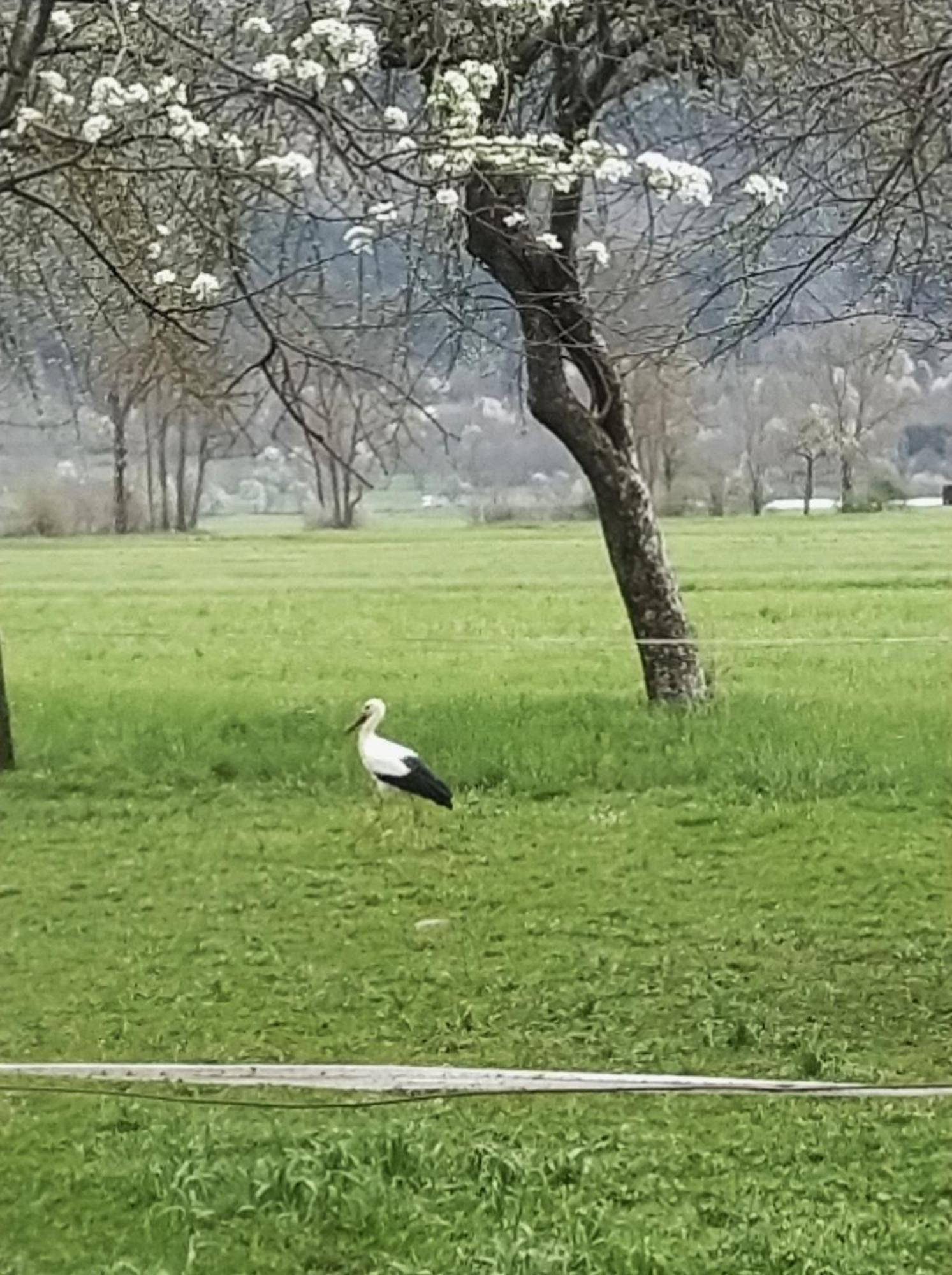 Jezerka * Cerknica
